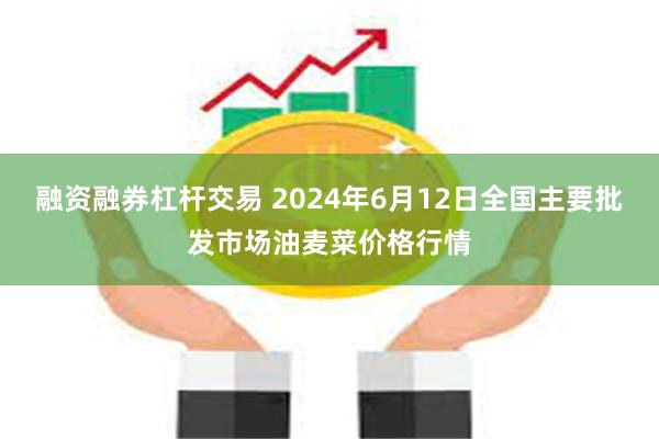 融资融券杠杆交易 2024年6月12日全国主要批发市场油麦菜价格行情