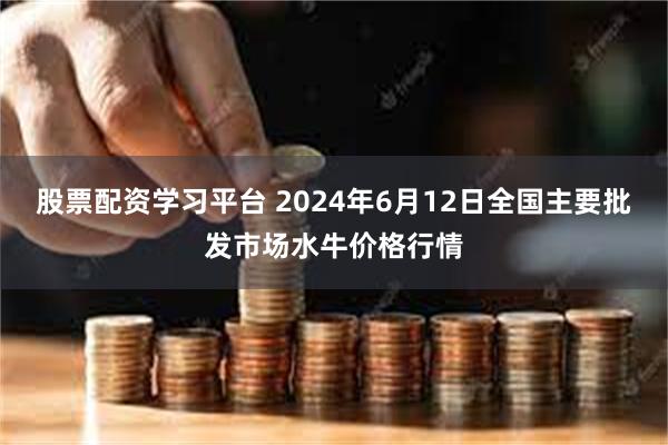 股票配资学习平台 2024年6月12日全国主要批发市场水牛价格行情