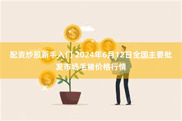 配资炒股新手入门 2024年6月12日全国主要批发市场毛猪价格行情