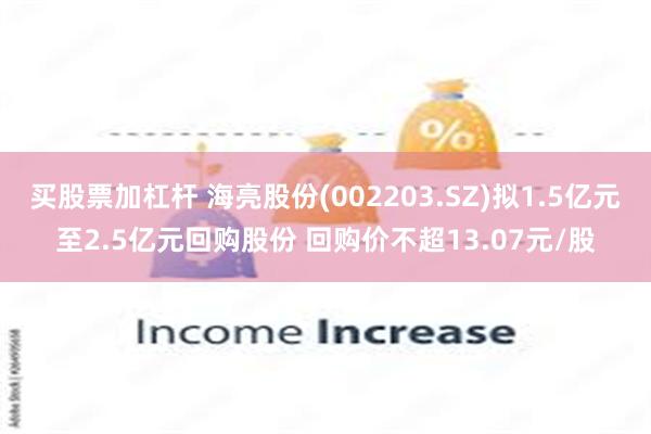 买股票加杠杆 海亮股份(002203.SZ)拟1.5亿元至2.5亿元回购股份 回购价不超13.07元/股