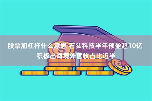 股票加杠杆什么意思 石头科技半年预盈超10亿 积极出海境外营收占比近半