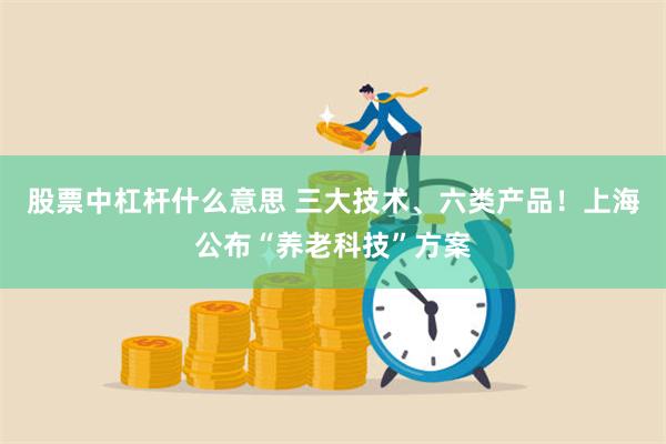 股票中杠杆什么意思 三大技术、六类产品！上海公布“养老科技”方案