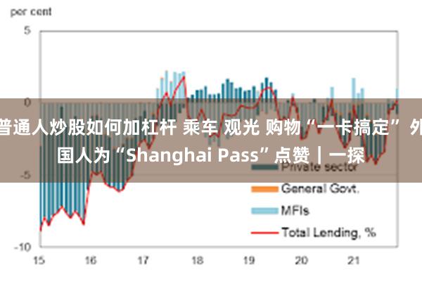 普通人炒股如何加杠杆 乘车 观光 购物“一卡搞定” 外国人为“Shanghai Pass”点赞｜一探