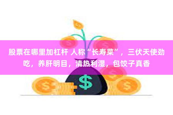 股票在哪里加杠杆 人称“长寿菜”，三伏天使劲吃，养肝明目，清热利湿，包饺子真香