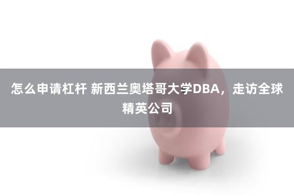 怎么申请杠杆 新西兰奥塔哥大学DBA，走访全球精英公司