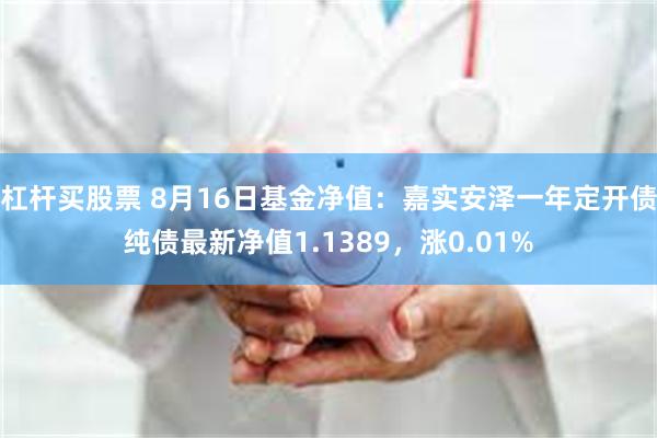 杠杆买股票 8月16日基金净值：嘉实安泽一年定开债纯债最新净值1.1389，涨0.01%