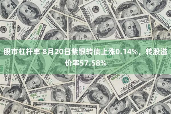 股市杠杆率 8月20日紫银转债上涨0.14%，转股溢价率57.58%