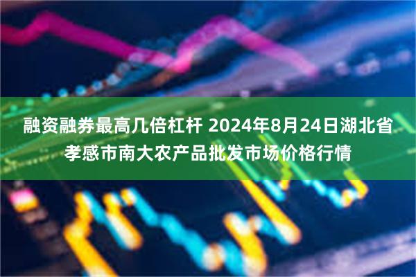 融资融券最高几倍杠杆 2024年8月24日湖北省孝感市南大农产品批发市场价格行情