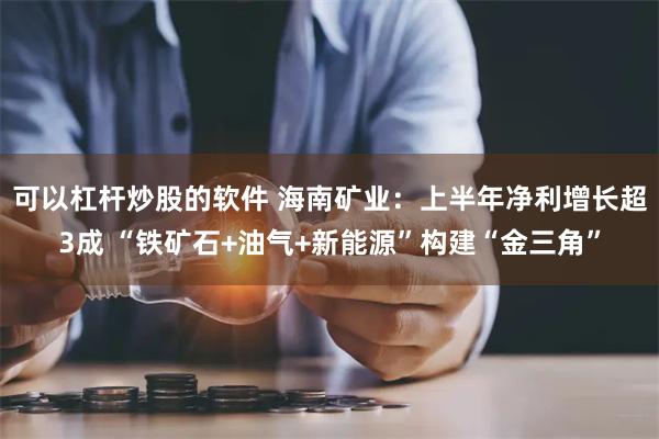 可以杠杆炒股的软件 海南矿业：上半年净利增长超3成 “铁矿石+油气+新能源”构建“金三角”