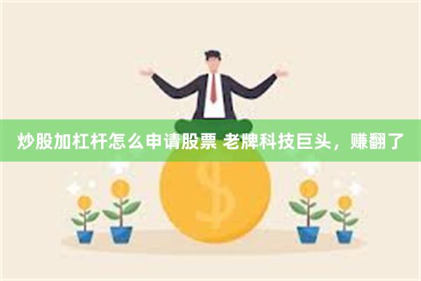 炒股加杠杆怎么申请股票 老牌科技巨头，赚翻了