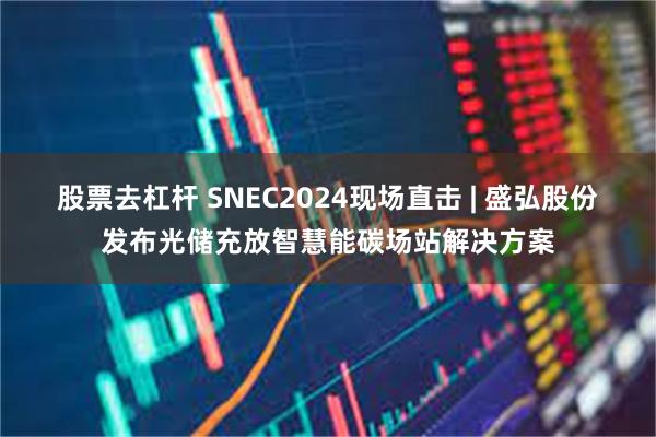 股票去杠杆 SNEC2024现场直击 | 盛弘股份发布光储充放智慧能碳场站解决方案