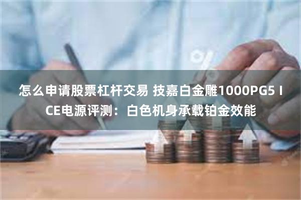 怎么申请股票杠杆交易 技嘉白金雕1000PG5 ICE电源评测：白色机身承载铂金效能