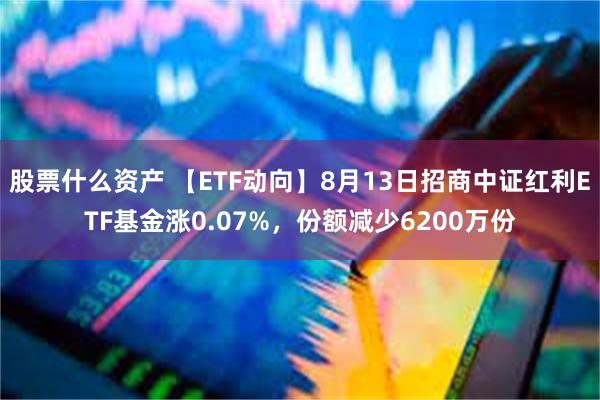 股票什么资产 【ETF动向】8月13日招商中证红利ETF基金涨0.07%，份额减少6200万份