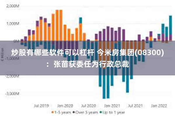 炒股有哪些软件可以杠杆 今米房集团(08300)：张苗获委任为行政总裁