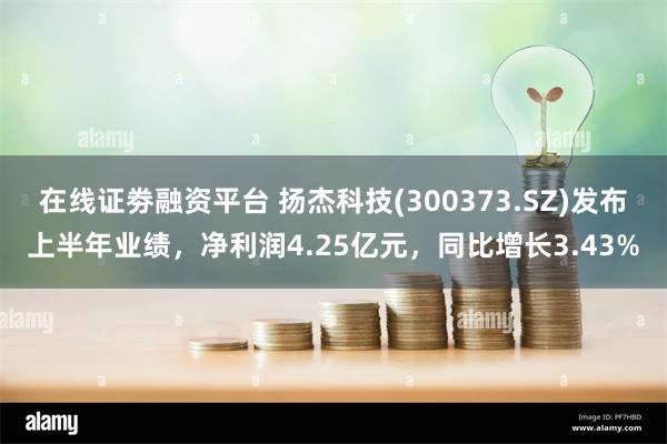 在线证劵融资平台 扬杰科技(300373.SZ)发布上半年业绩，净利润4.25亿元，同比增长3.43%