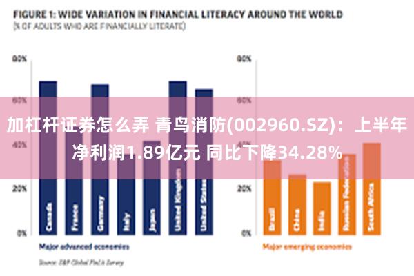 加杠杆证券怎么弄 青鸟消防(002960.SZ)：上半年净利润1.89亿元 同比下降34.28%