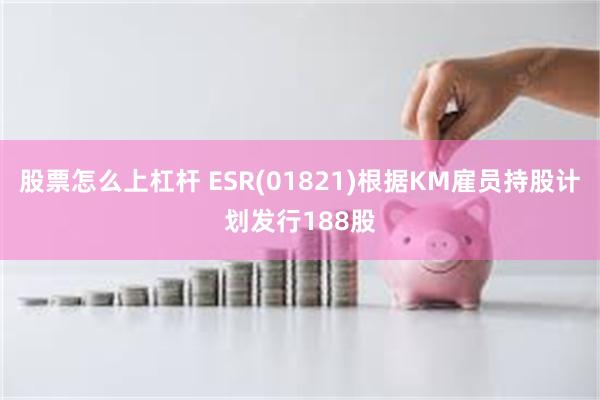 股票怎么上杠杆 ESR(01821)根据KM雇员持股计划发行188股