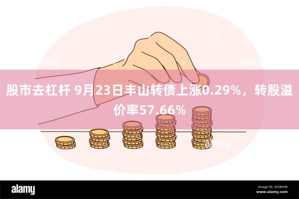 股市去杠杆 9月23日丰山转债上涨0.29%，转股溢价率57.66%