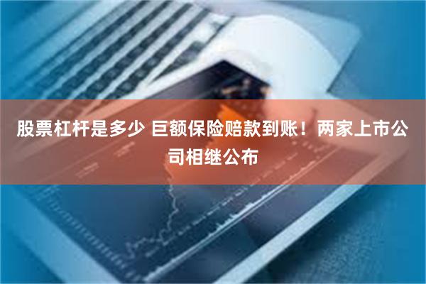 股票杠杆是多少 巨额保险赔款到账！两家上市公司相继公布