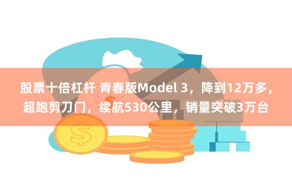 股票十倍杠杆 青春版Model 3，降到12万多，超跑剪刀门，续航530公里，销量突破3万台