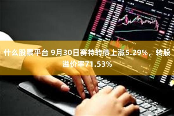 什么股票平台 9月30日赛特转债上涨5.29%，转股溢价率71.53%