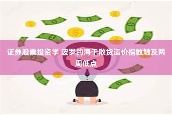 证券股票投资学 波罗的海干散货运价指数触及两周低点