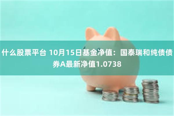 什么股票平台 10月15日基金净值：国泰瑞和纯债债券A最新净值1.0738