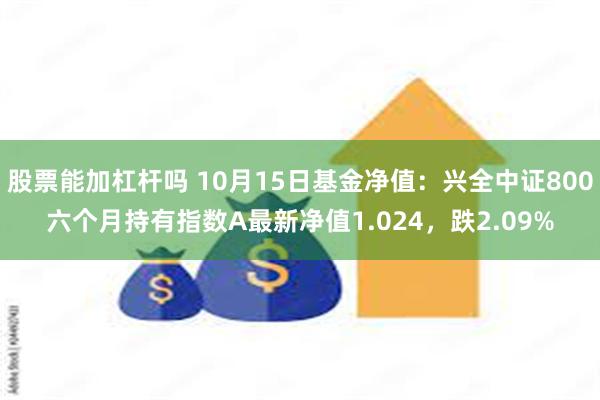 股票能加杠杆吗 10月15日基金净值：兴全中证800六个月持有指数A最新净值1.024，跌2.09%