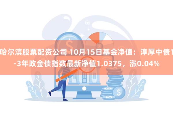 哈尔滨股票配资公司 10月15日基金净值：淳厚中债1-3年政金债指数最新净值1.0375，涨0.04%