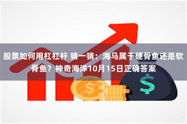 股票如何用杠杠杆 猜一猜：海马属于硬骨鱼还是软骨鱼？神奇海洋10月15日正确答案