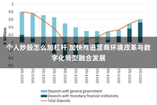 个人炒股怎么加杠杆 加快推进营商环境改革与数字化转型融合发展