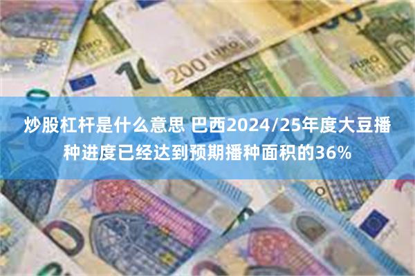 炒股杠杆是什么意思 巴西2024/25年度大豆播种进度已经达到预期播种面积的36%