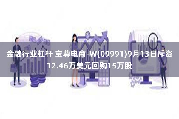 金融行业杠杆 宝尊电商-W(09991)9月13日斥资12.46万美元回购15万股