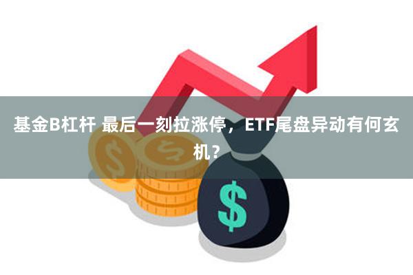 基金B杠杆 最后一刻拉涨停，ETF尾盘异动有何玄机？