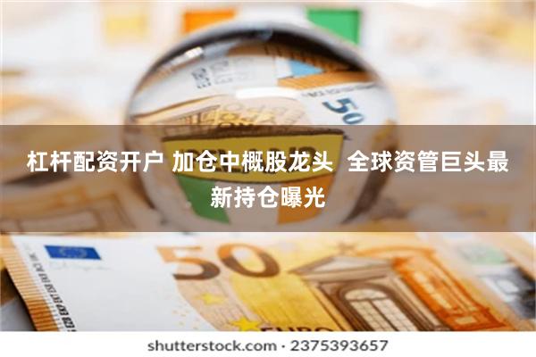 杠杆配资开户 加仓中概股龙头  全球资管巨头最新持仓曝光