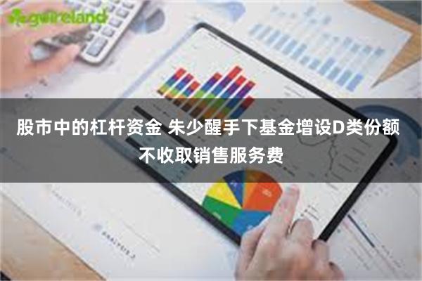 股市中的杠杆资金 朱少醒手下基金增设D类份额 不收取销售服务费