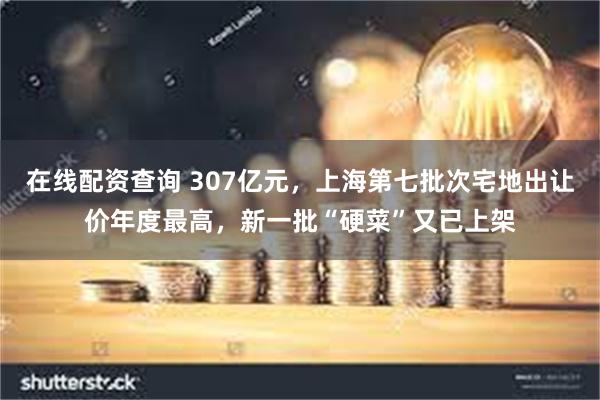 在线配资查询 307亿元，上海第七批次宅地出让价年度最高，新一批“硬菜”又已上架