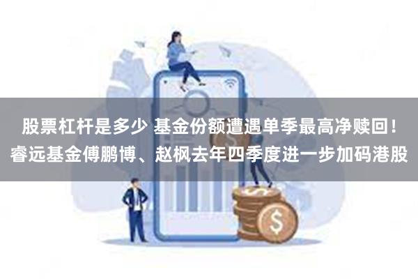 股票杠杆是多少 基金份额遭遇单季最高净赎回！睿远基金傅鹏博、赵枫去年四季度进一步加码港股