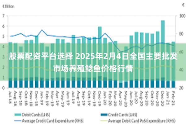 股票配资平台选择 2025年2月4日全国主要批发市场养殖鲶鱼价格行情